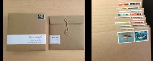 The square brown card envelopes with a nice string tie